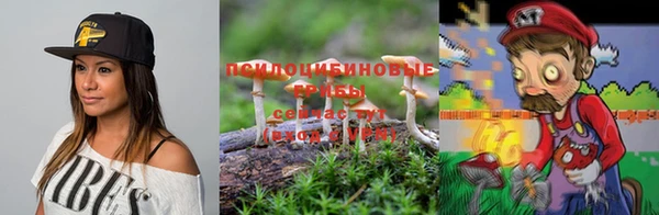 mdma Богородицк