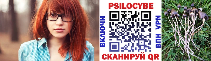 Галлюциногенные грибы GOLDEN TEACHER  Набережные Челны 